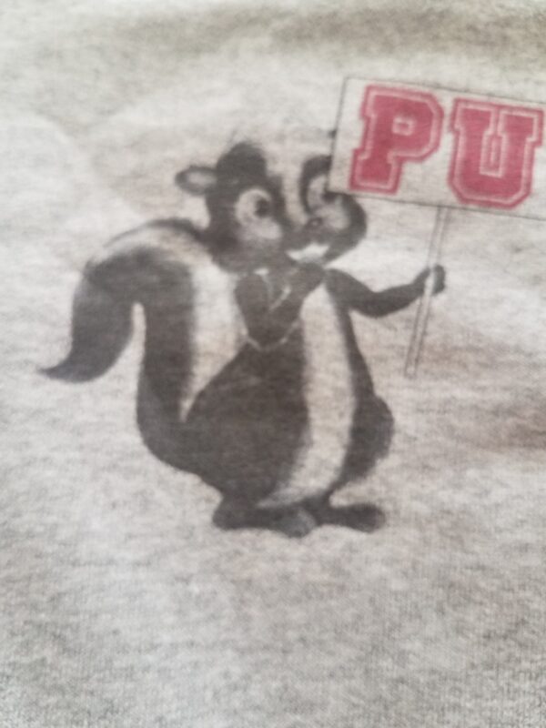 Phillips University Alum Sweatshirt - Image 3